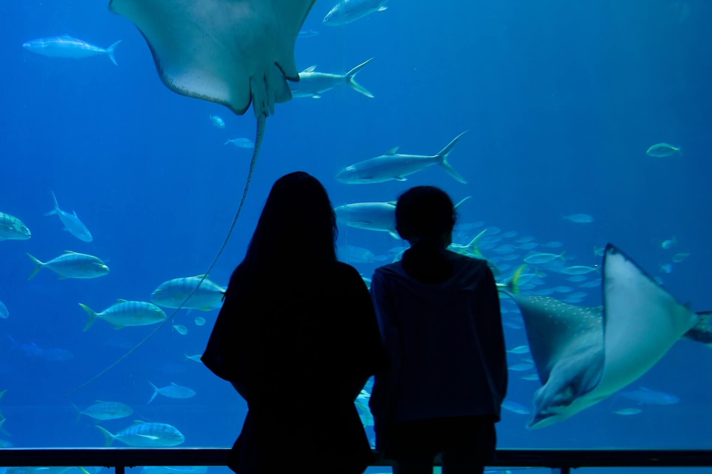 Two people at The Aquarium in Austin.